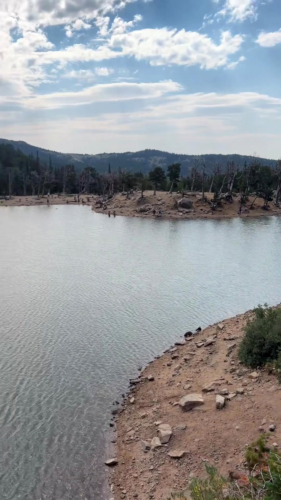 Alpine lake in changing seasons