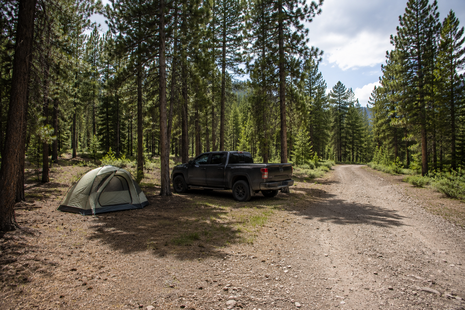 A tent and parked vehicle in a pine clearing beside a dirt forest road in Colorado
